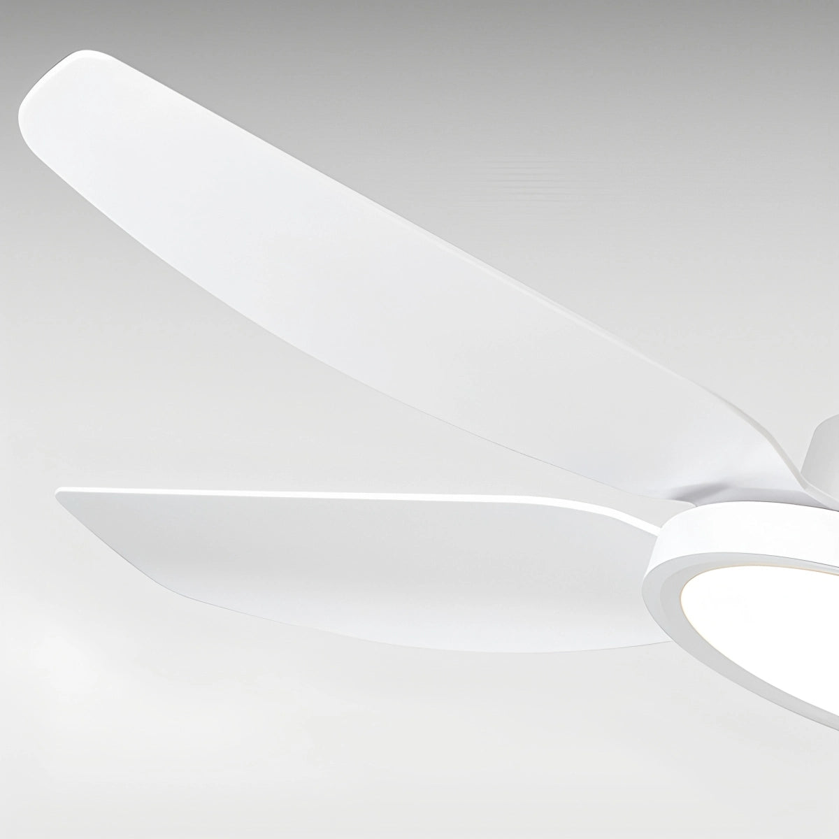 Antizer Modern White Ceiling Fans with Lights and Remote