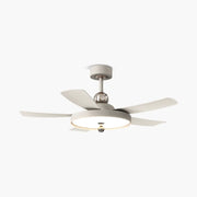 Antizer Silent Ceiling Fan with Light & Remote Control