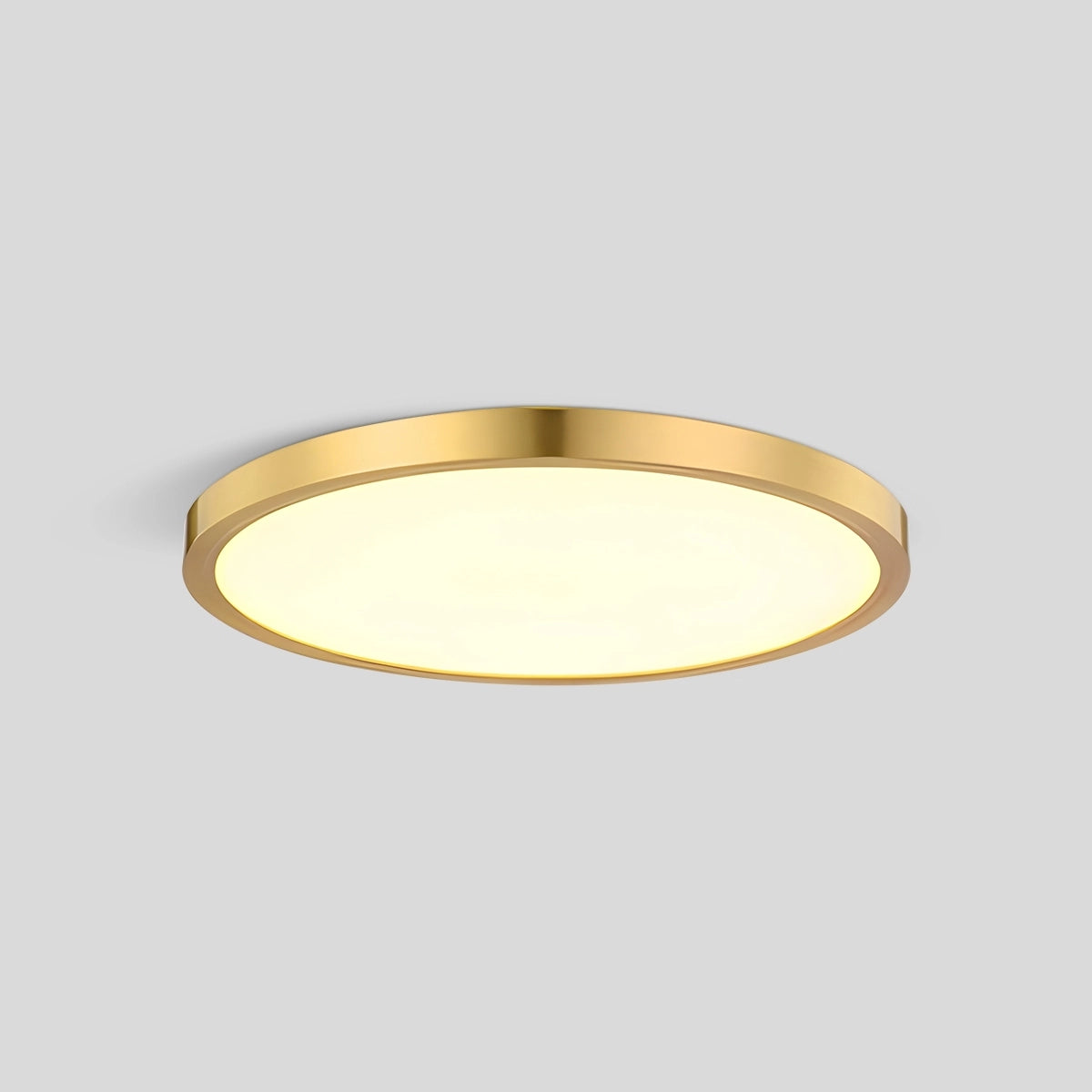 Antizer Ultra Thin Minimalist Ceiling Light for Bedroom