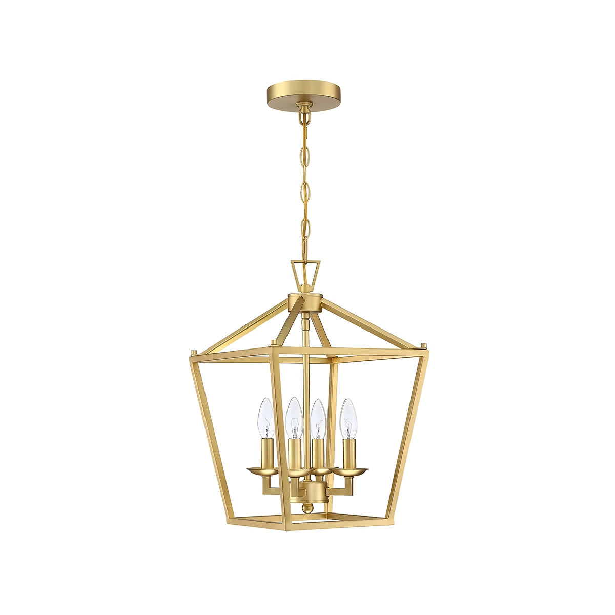 Bird Cage Iron Pendant Lamp