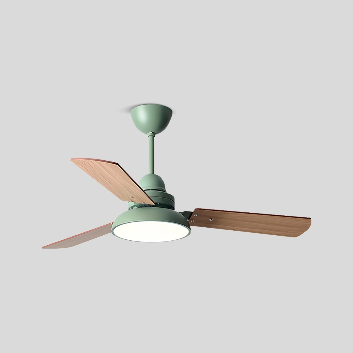 Antizer Modern Minimalist Three Leaf Ceiling Fan Light