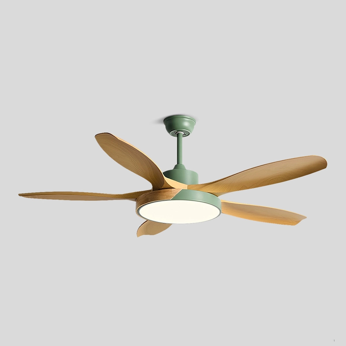 Antizer Nordic Living Room Ceiling Fan with Light