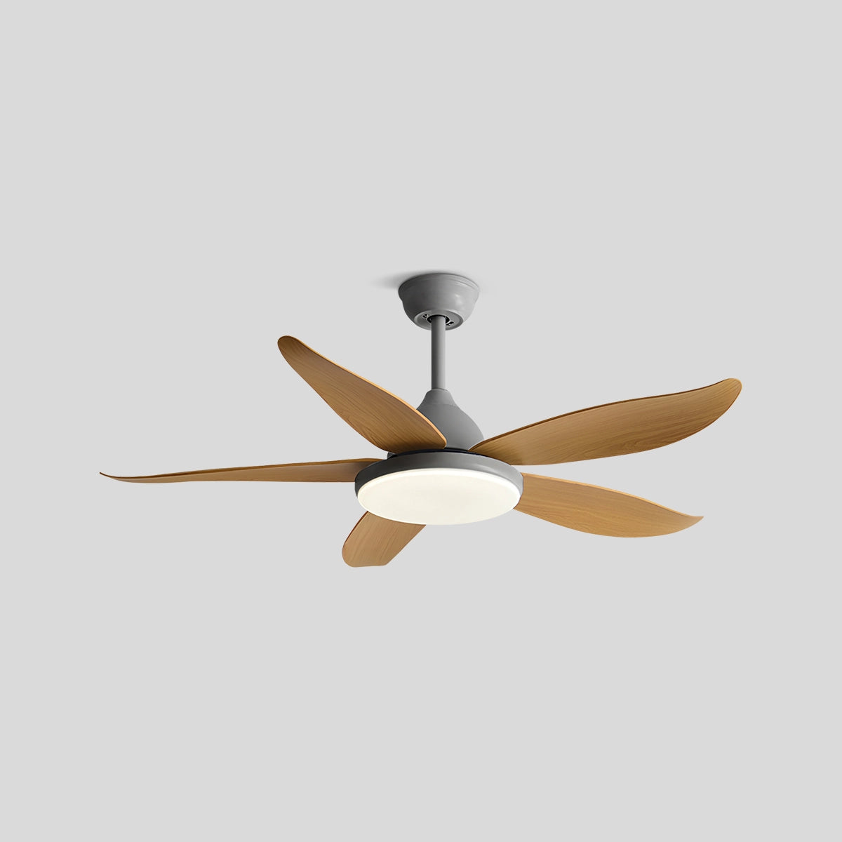 Antizer 5 Blade Contemporary Ceiling Fan Lamp