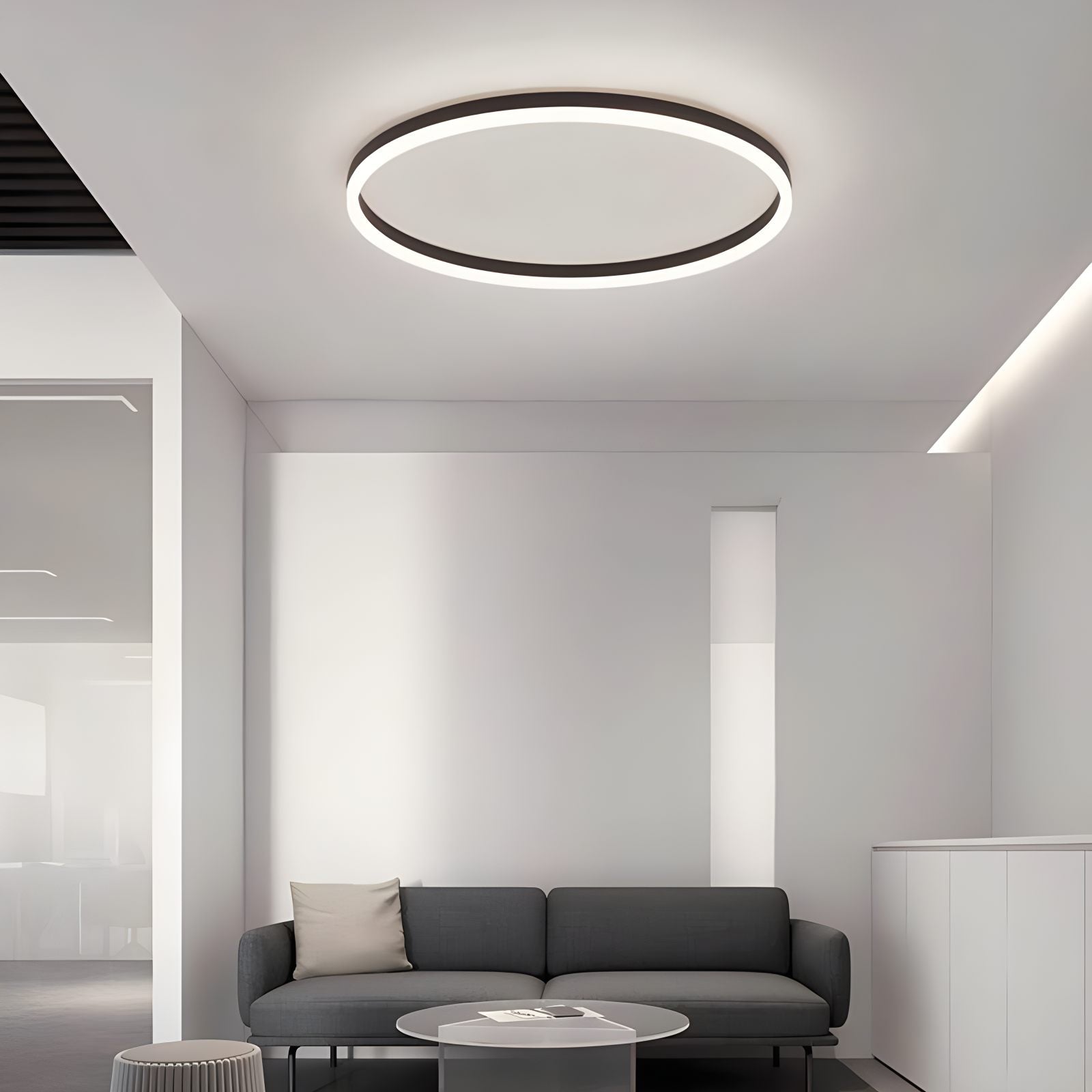 Nordic Circular Ceiling Lamp