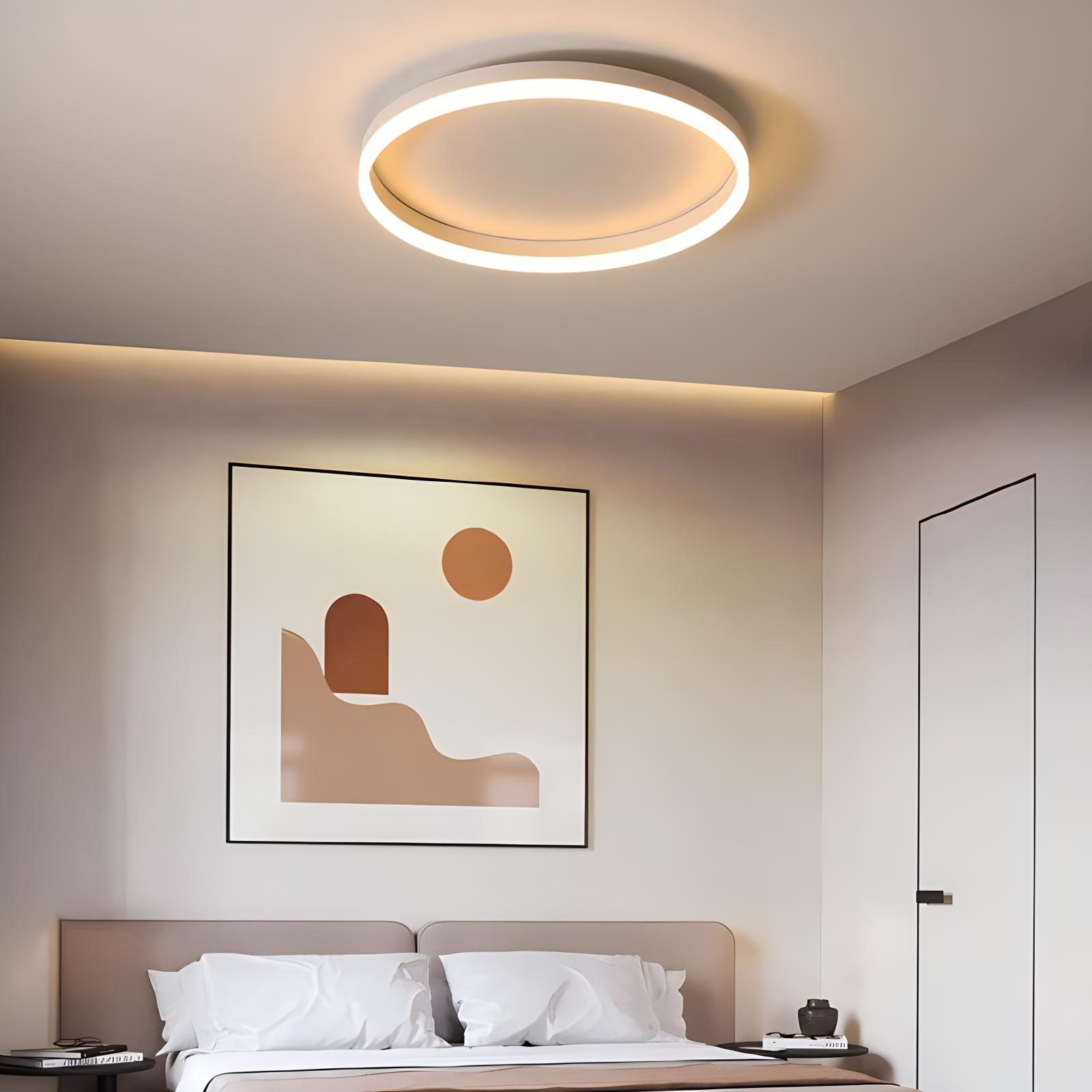 Nordic Circular Ceiling Lamp