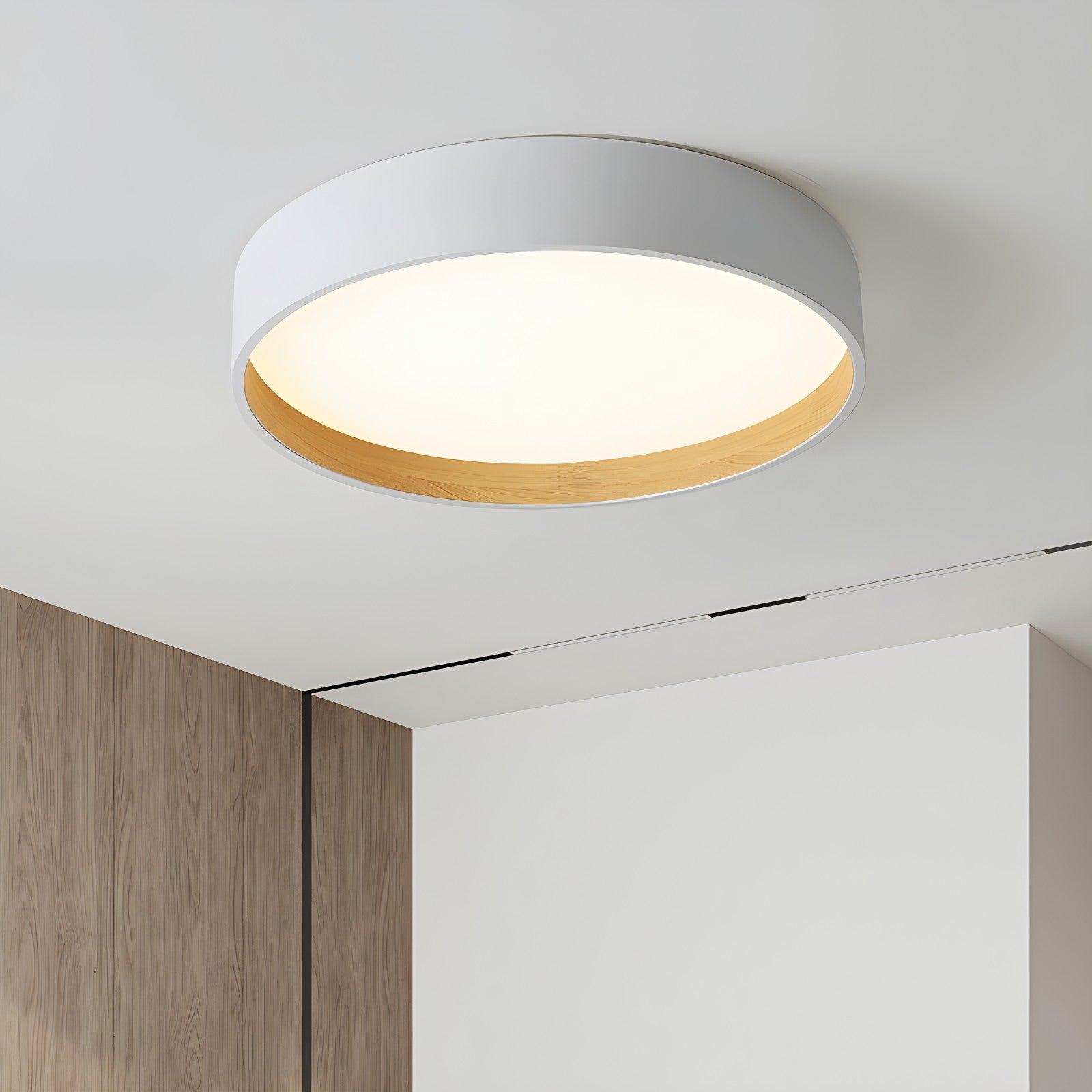 Quinn Modern Round Ceiling Light