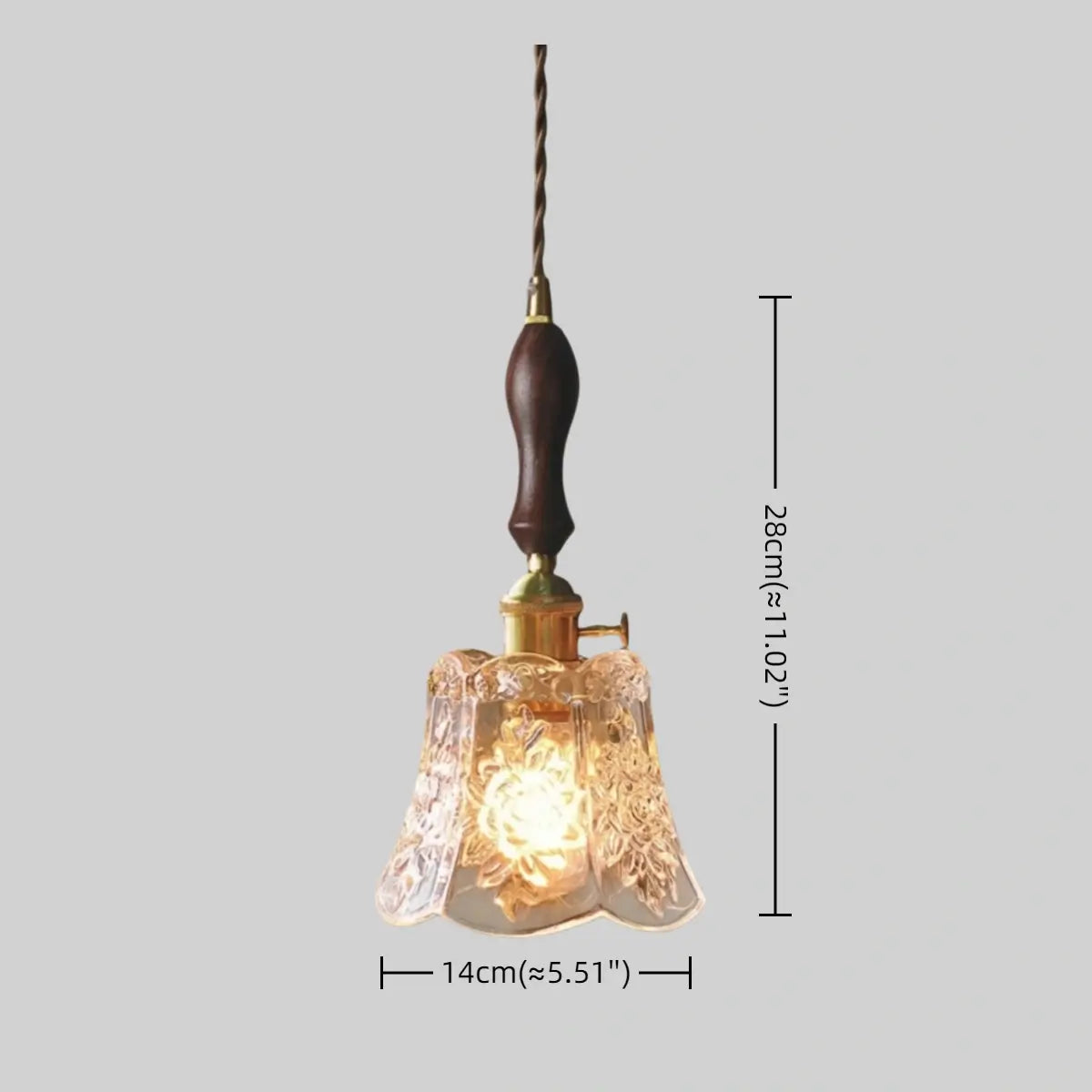 Antizer Flower Shape Brass Glass Pendant Light