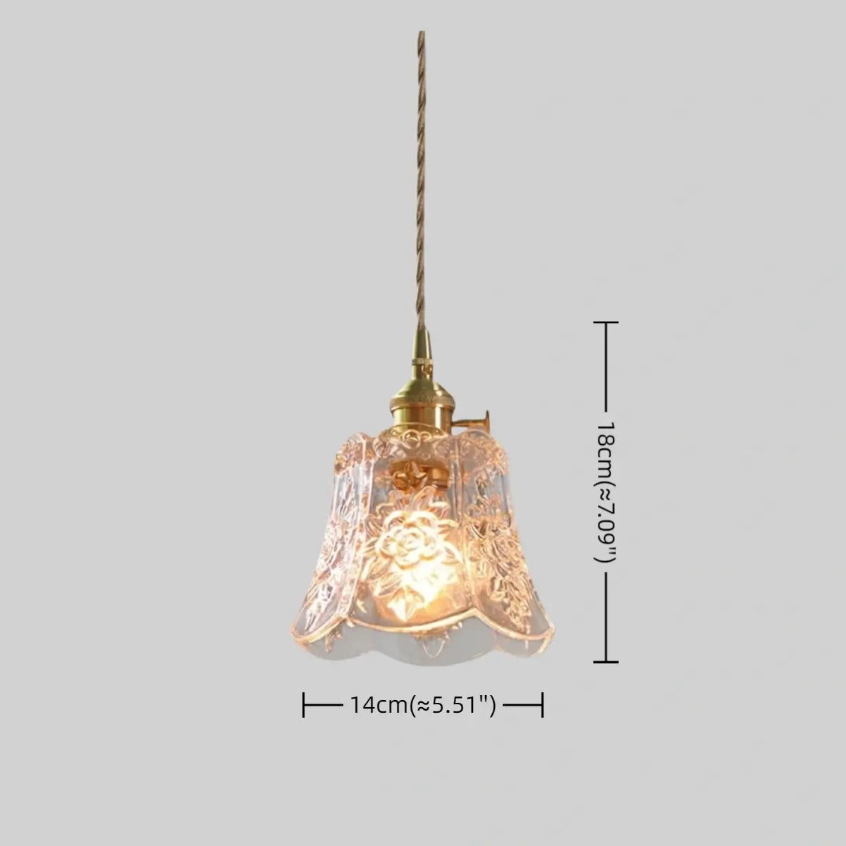 Antizer Flower Shape Brass Glass Pendant Light