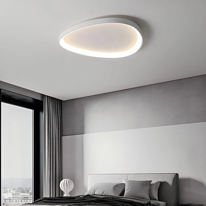 Antizer Nordic Art Ceiling Light for Living Room