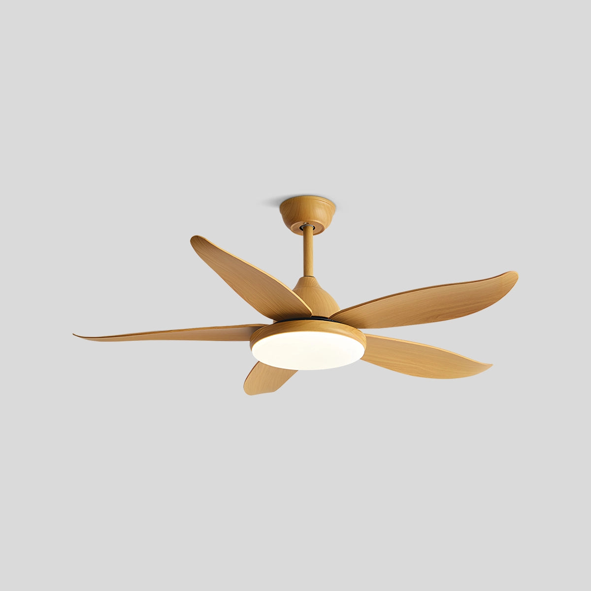 Antizer 5 Blade Contemporary Ceiling Fan Lamp