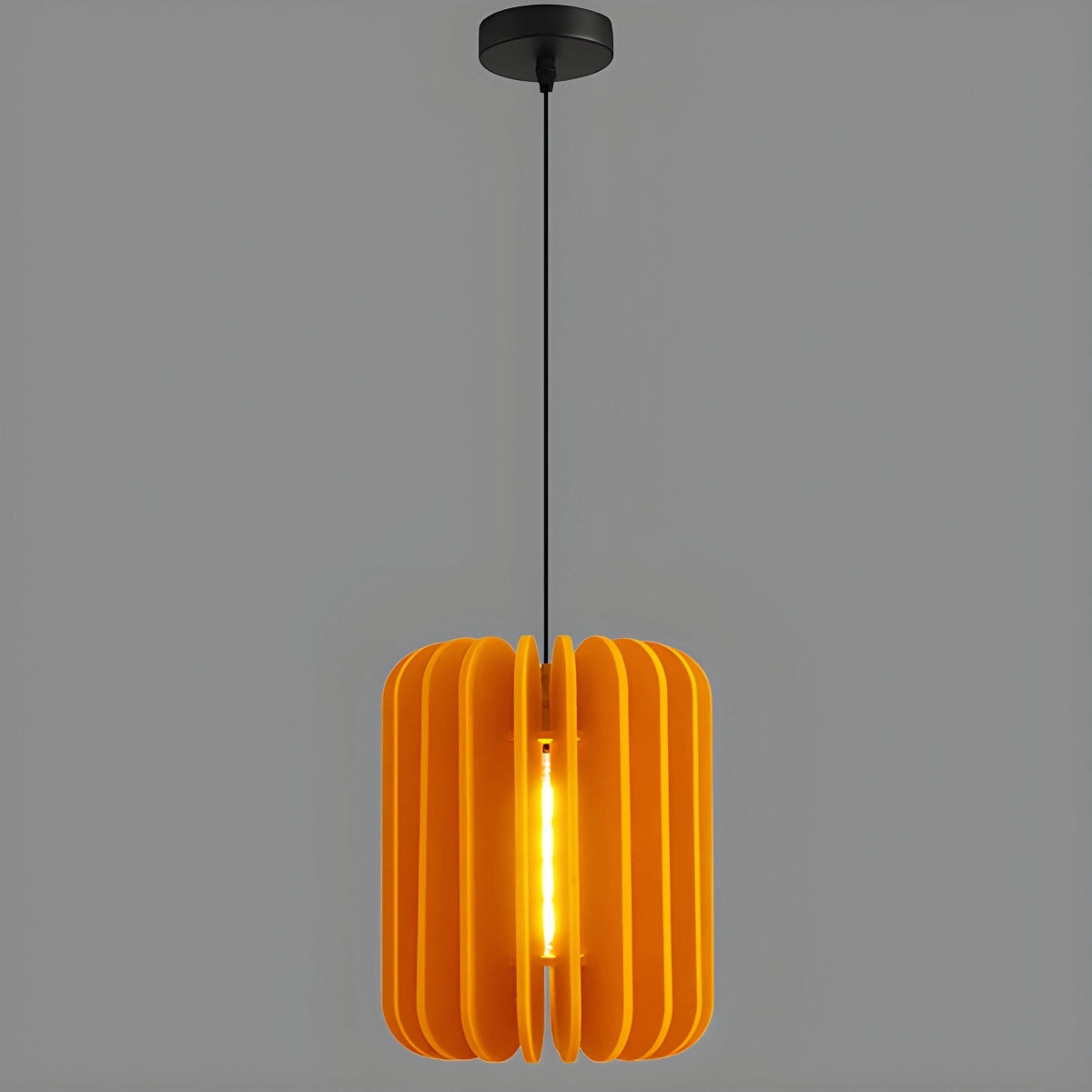 Antizer Pumpkin Slice Acoustic Pendant Light