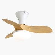 Antizer Small Propeller Ceiling Fan With Light