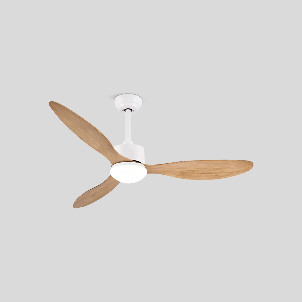 Antizer 3 Blade Modern Ceiling Fan with Light