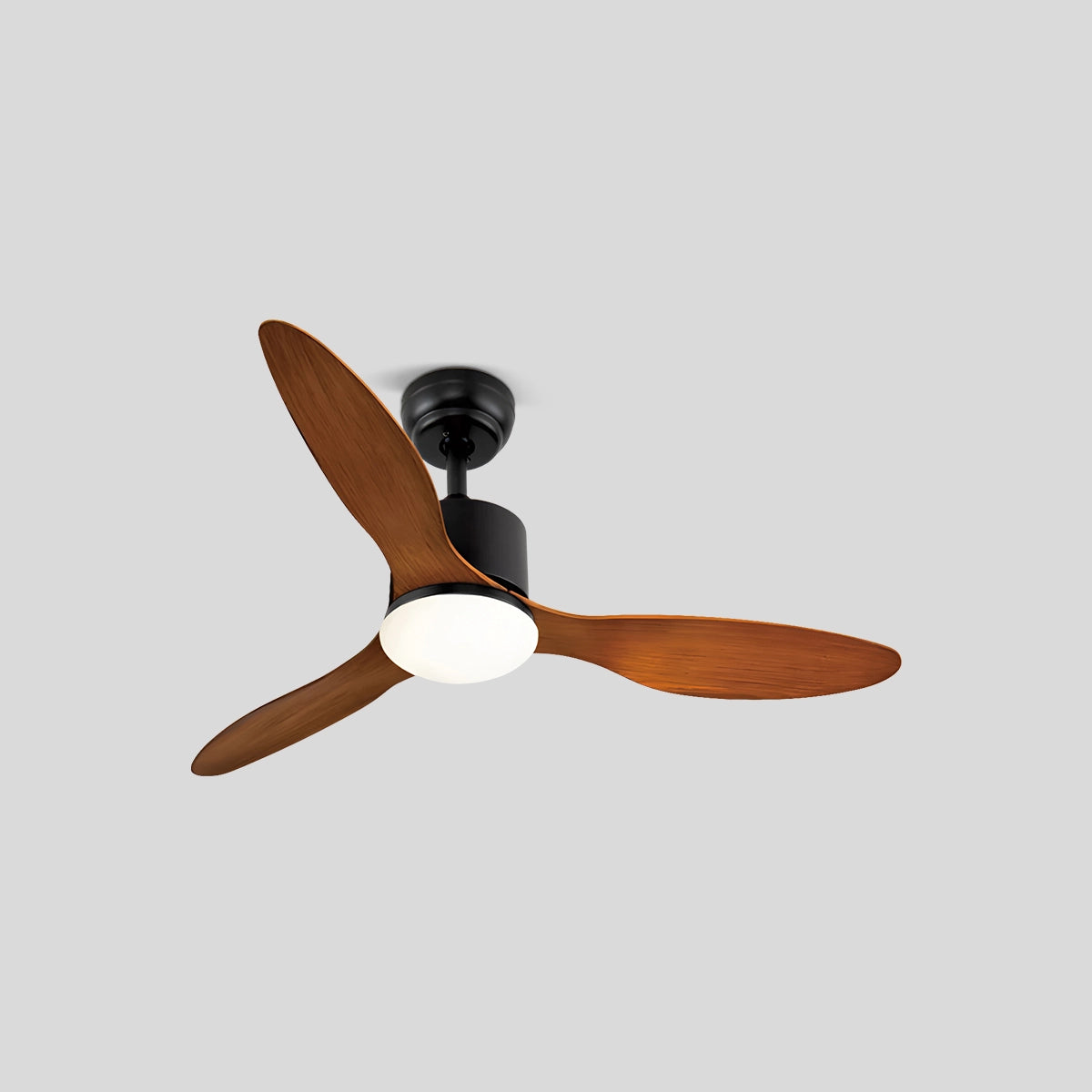 Antizer 3 Blade Modern Ceiling Fan with Light
