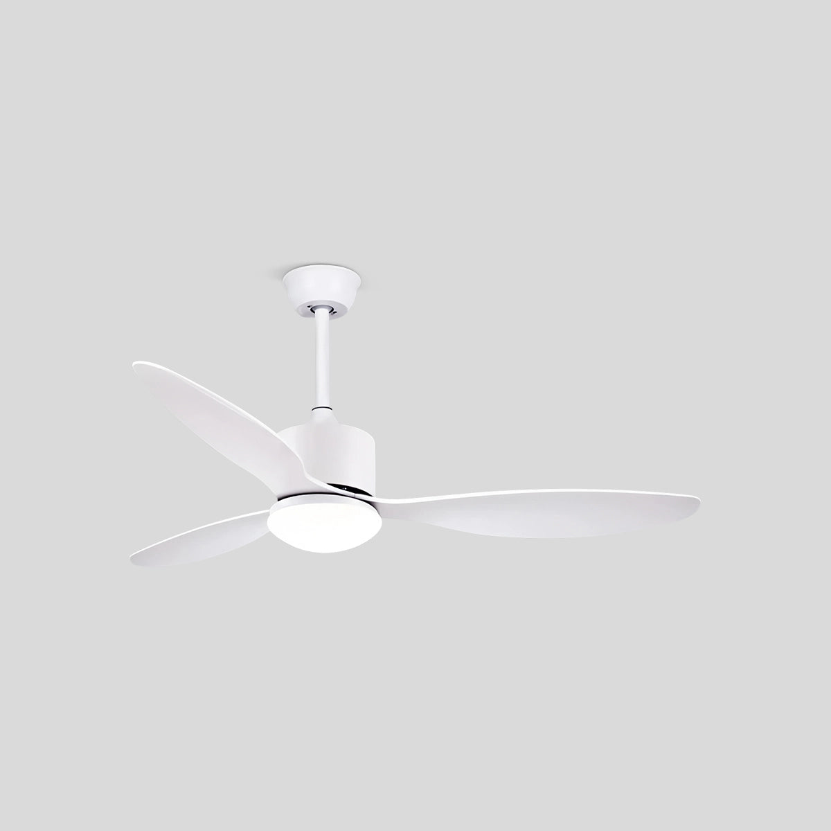 Antizer 3 Blade Modern Ceiling Fan with Light