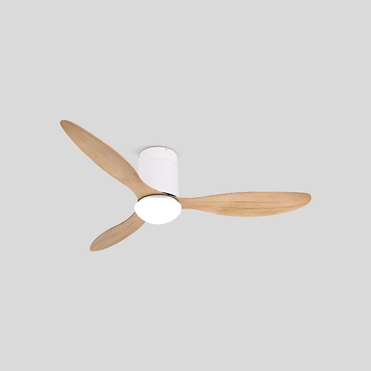 Antizer 3 Blade Modern Ceiling Fan with Light