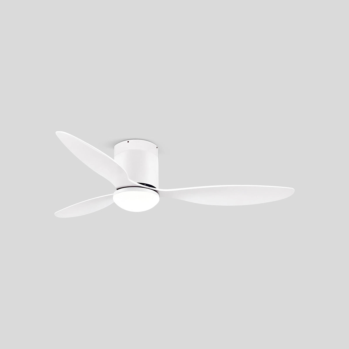 Antizer 3 Blade Modern Ceiling Fan with Light