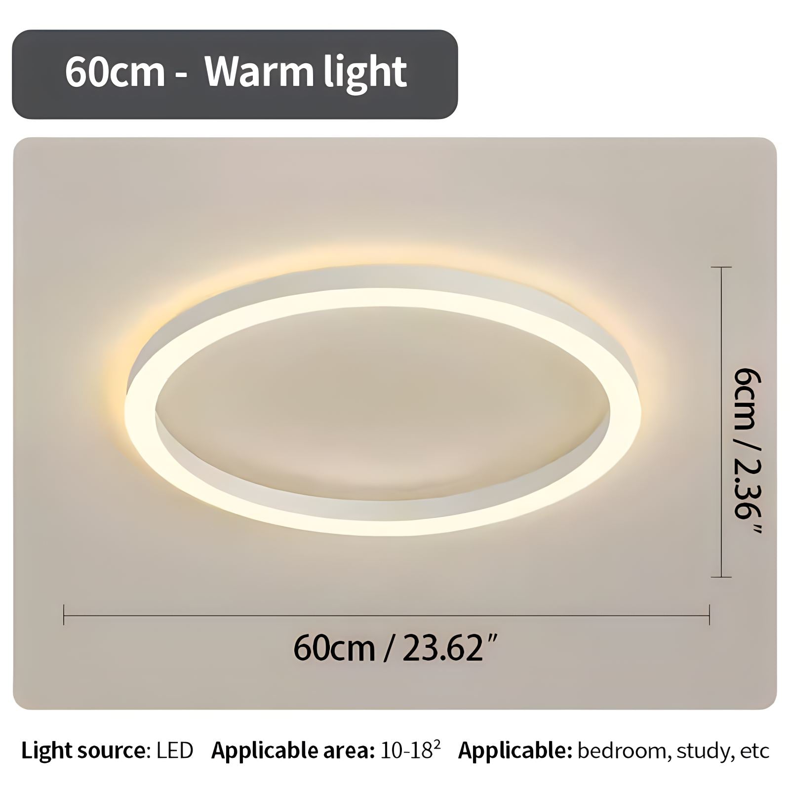 Nordic Circular Ceiling Lamp