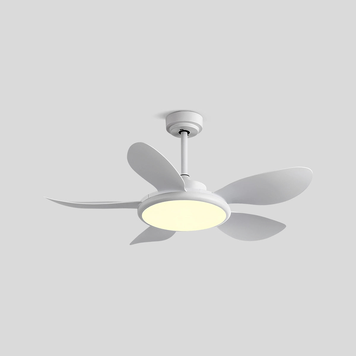Antizer 5-Blade Wood Ceiling Fan with Light for Living Room