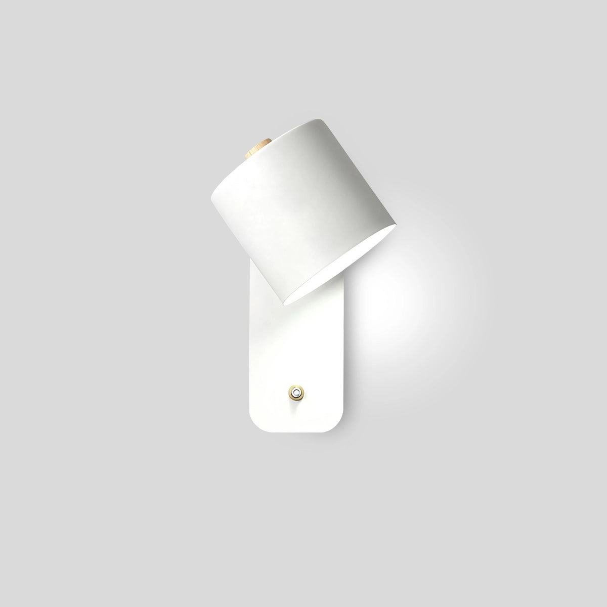 Antizer Rotatable Cylinder Wall Lamp