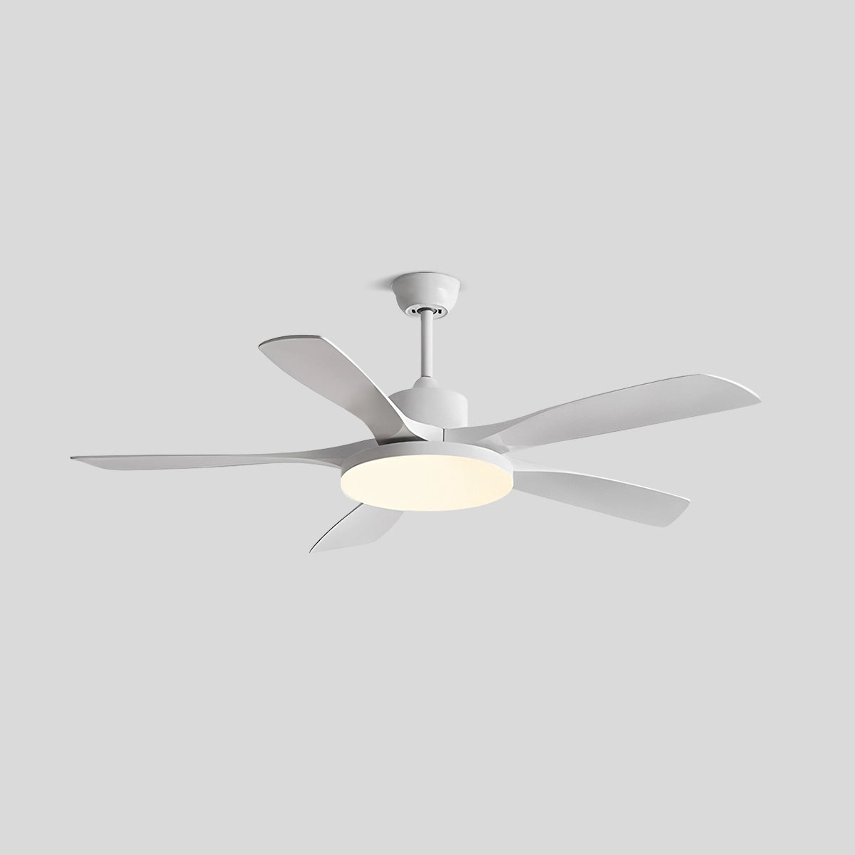 Antizer Living Room 6-Leaf Ceiling Fan Light