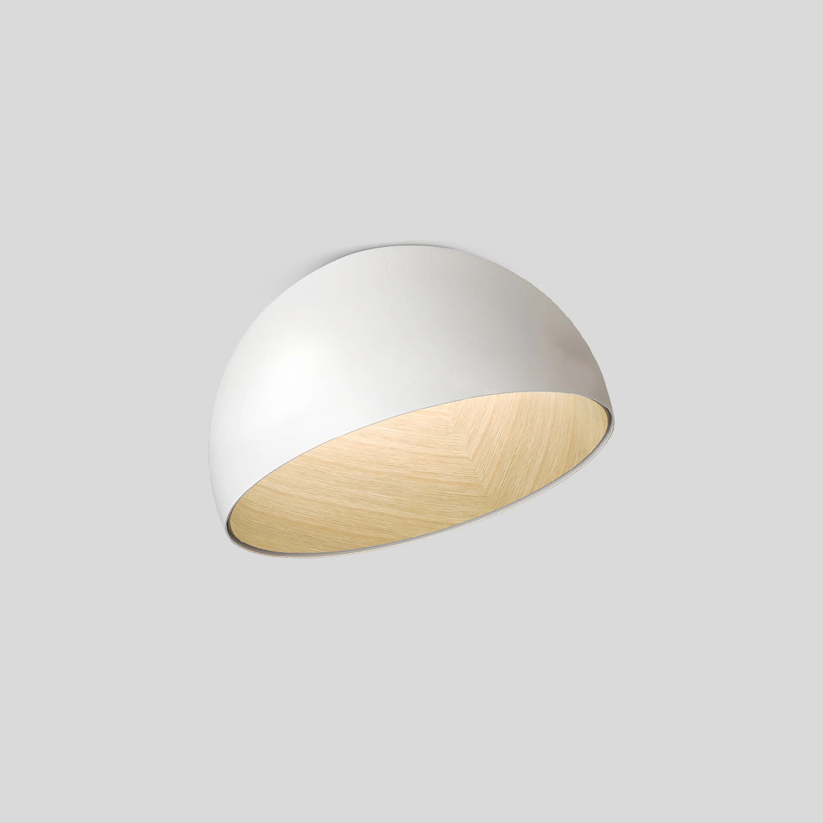 Antizer Duo Plane/Slanted Ceiling Lamp