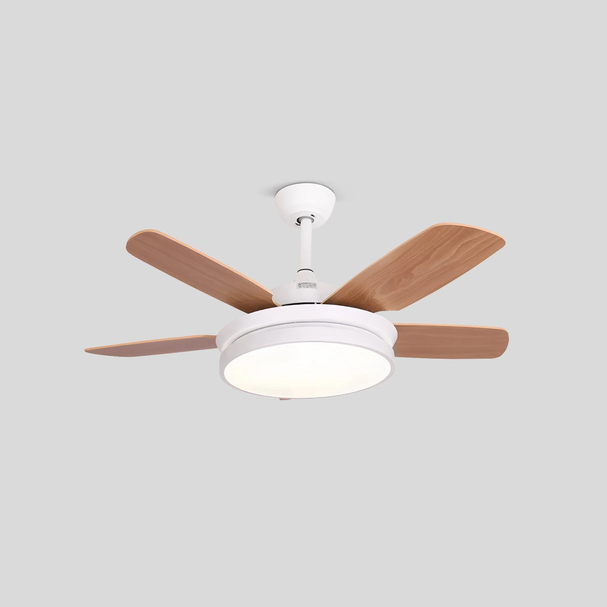Antizer 5 Blade Ceiling Fan Light for Living Room
