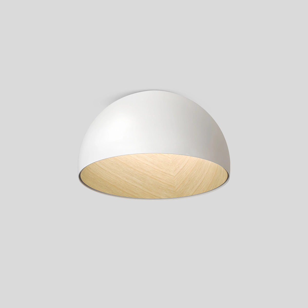 Antizer Duo Plane/Slanted Ceiling Lamp