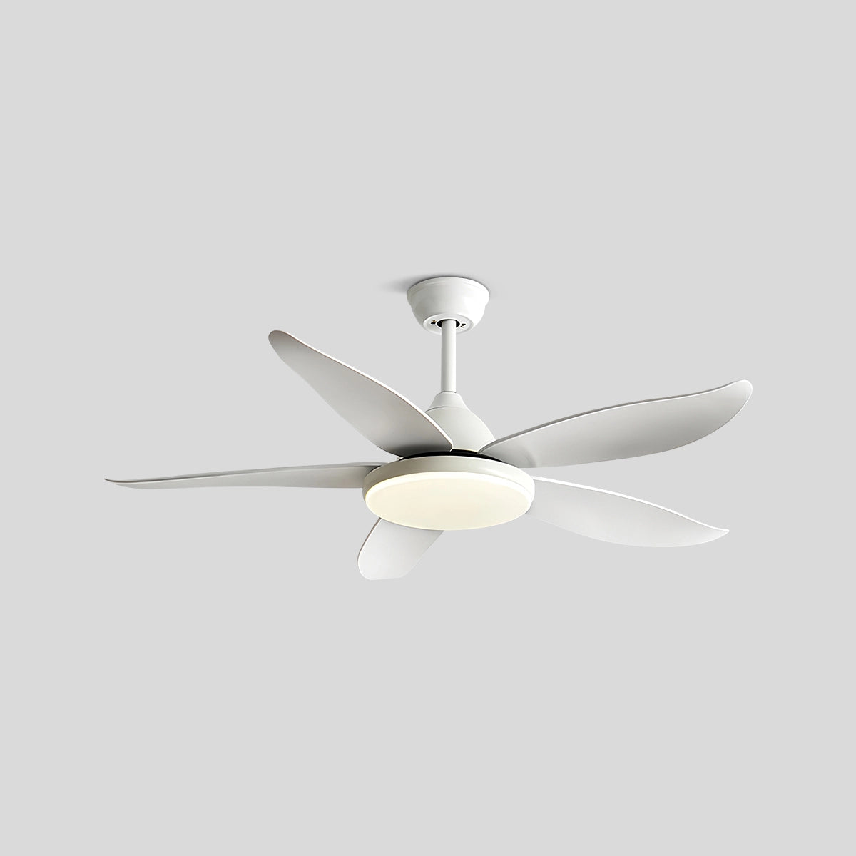 Antizer 5 Blade Contemporary Ceiling Fan Lamp
