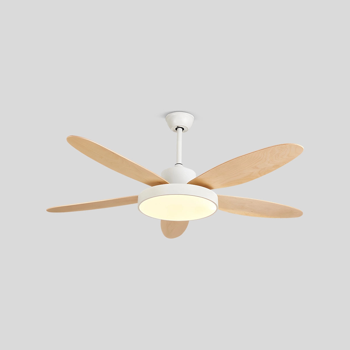 Antizer 5 Blade Modern Ceiling Fan Lamp for Living Room