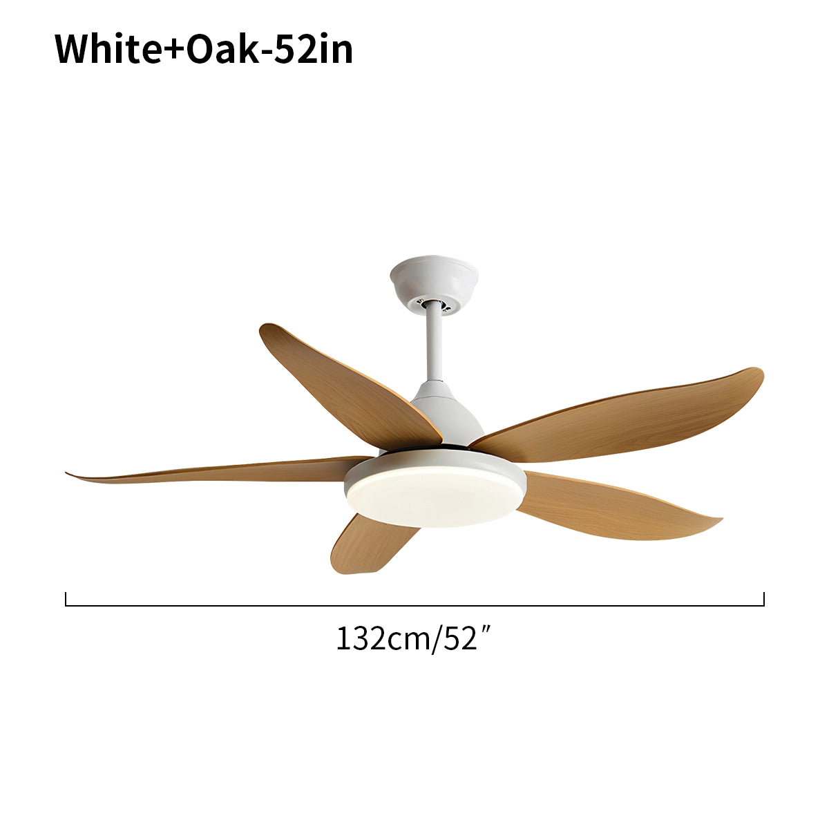 Antizer 5 Blade Contemporary Ceiling Fan Lamp