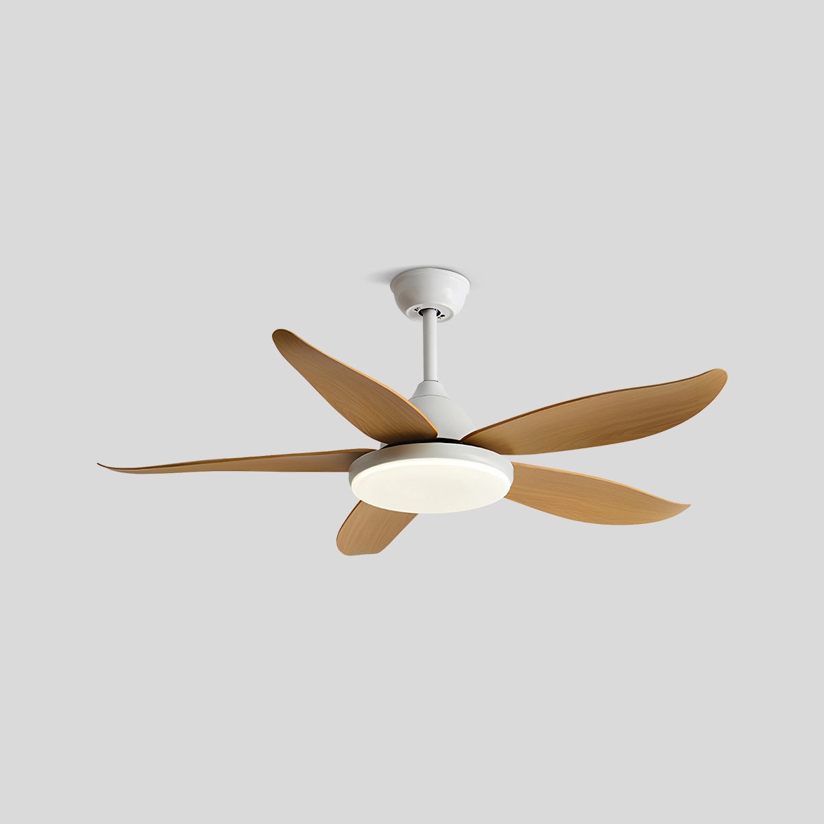 Antizer 5 Blade Contemporary Ceiling Fan Lamp