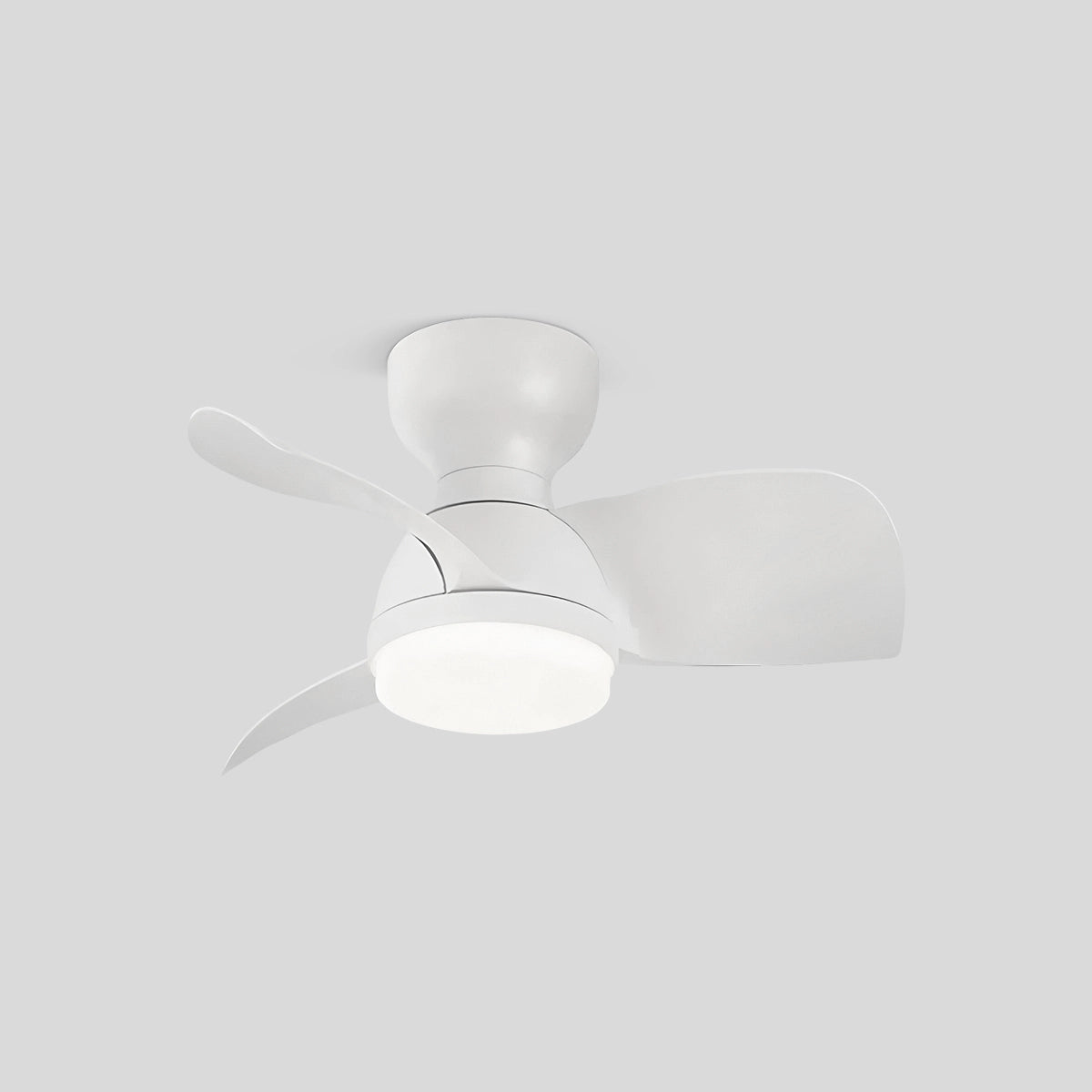Antizer Small Flush Mount Ceiling Fan with Light