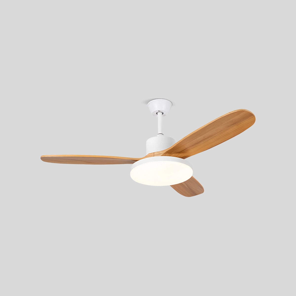 Antizer 3 Wood Blade Ceiling Fan with Light