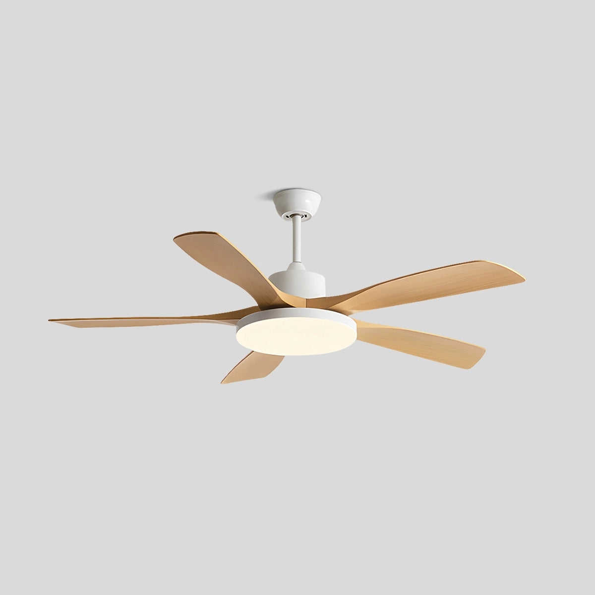 Antizer Living Room 6-Leaf Ceiling Fan Light
