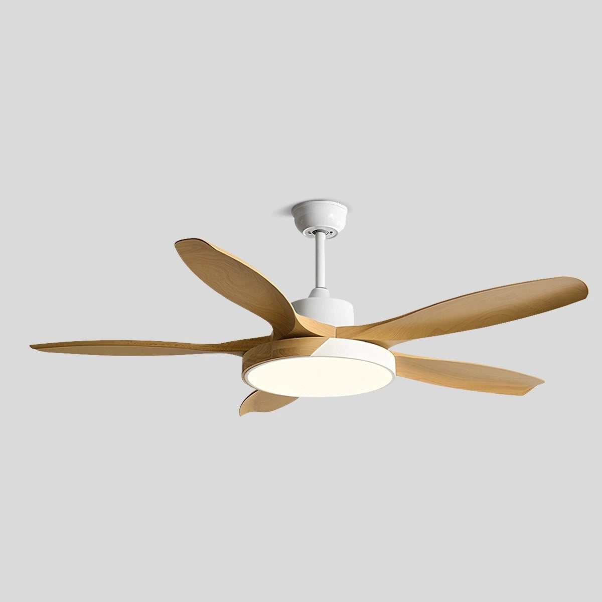 Antizer Nordic Living Room Ceiling Fan with Light