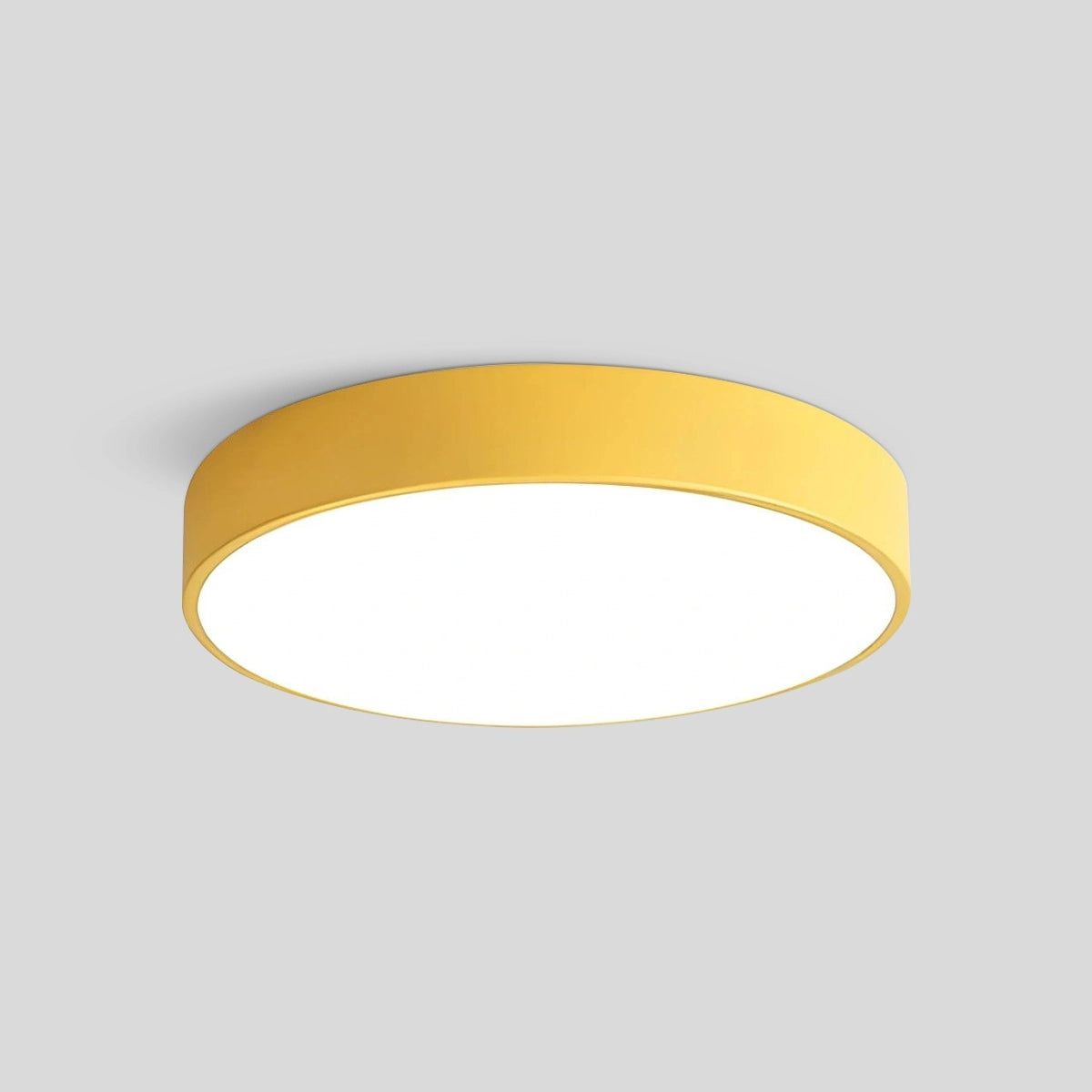 Antizer LED Minimalist Circular Macaron Ceiling Light