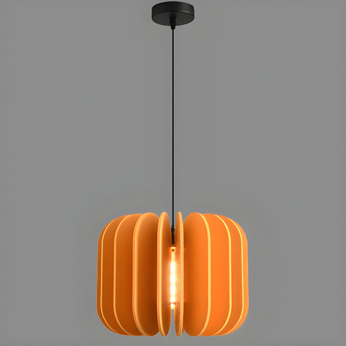 Antizer Pumpkin Slice Acoustic Pendant Light