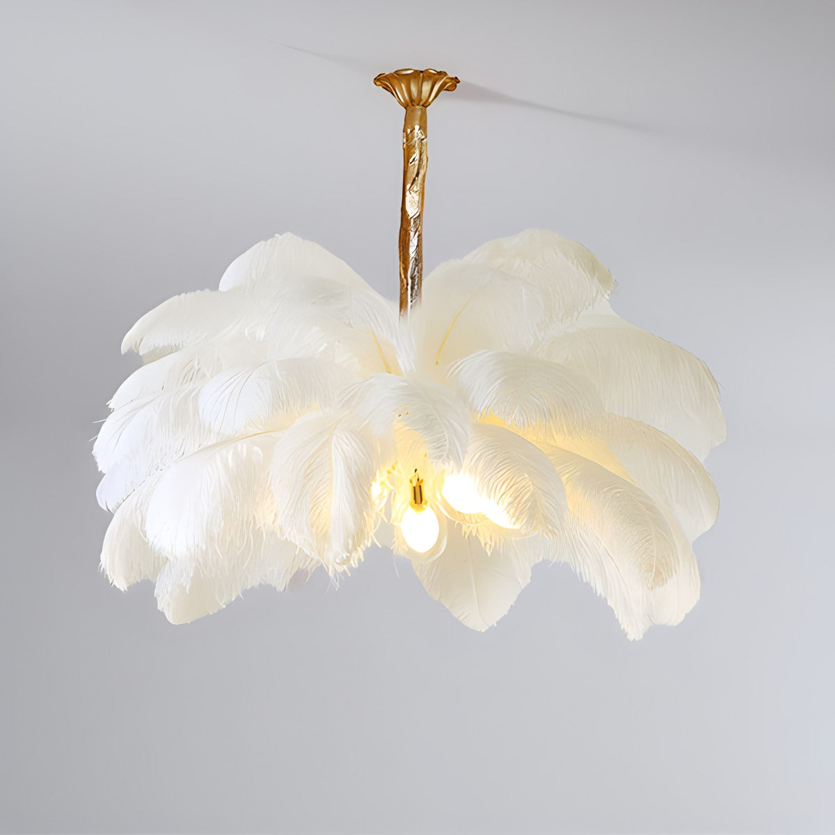 Ostrich Feather Chandelier