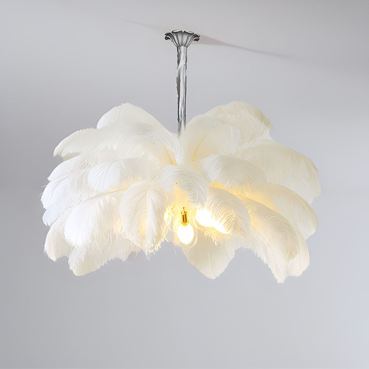 Ostrich Feather Chandelier