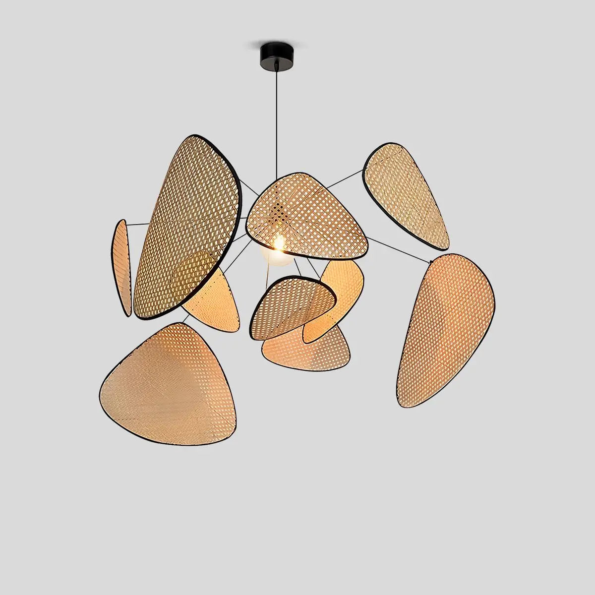 Antizer Screen Cannage Suspension Chandelier